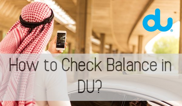 How to Check Balance in DU?